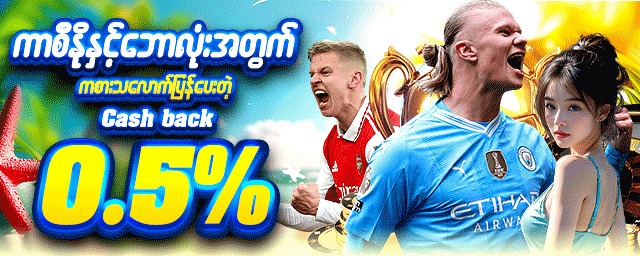 cashback 0.5%
